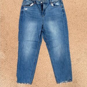 American Eagle Outfitters Blue Boyfriend Jeans